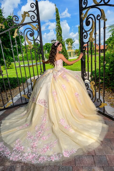 Fotografía profesional de quinceañera 12